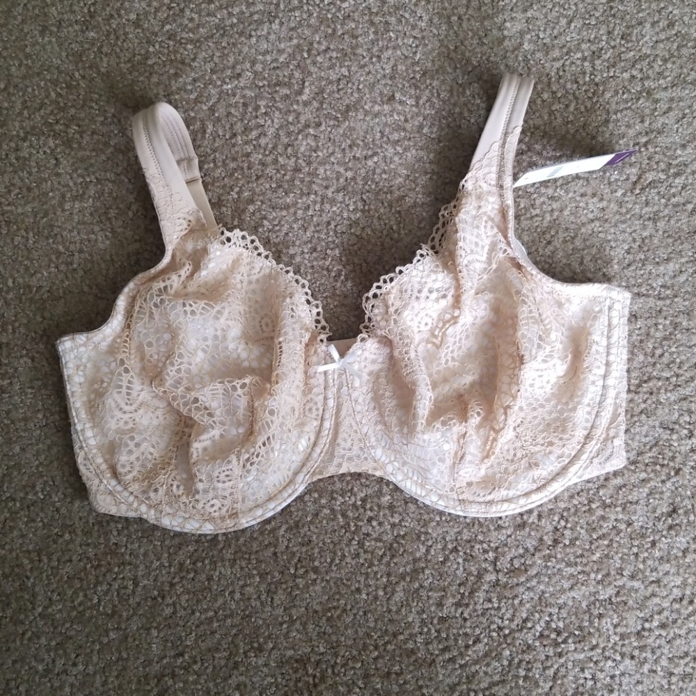 Net lane Bryant bra